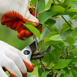 Icono de supervisión de mantenimiento