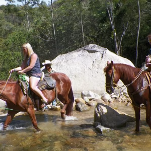Rancho Manolo Horseback Riding Tours Mismaloya