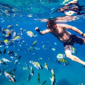 Marine life